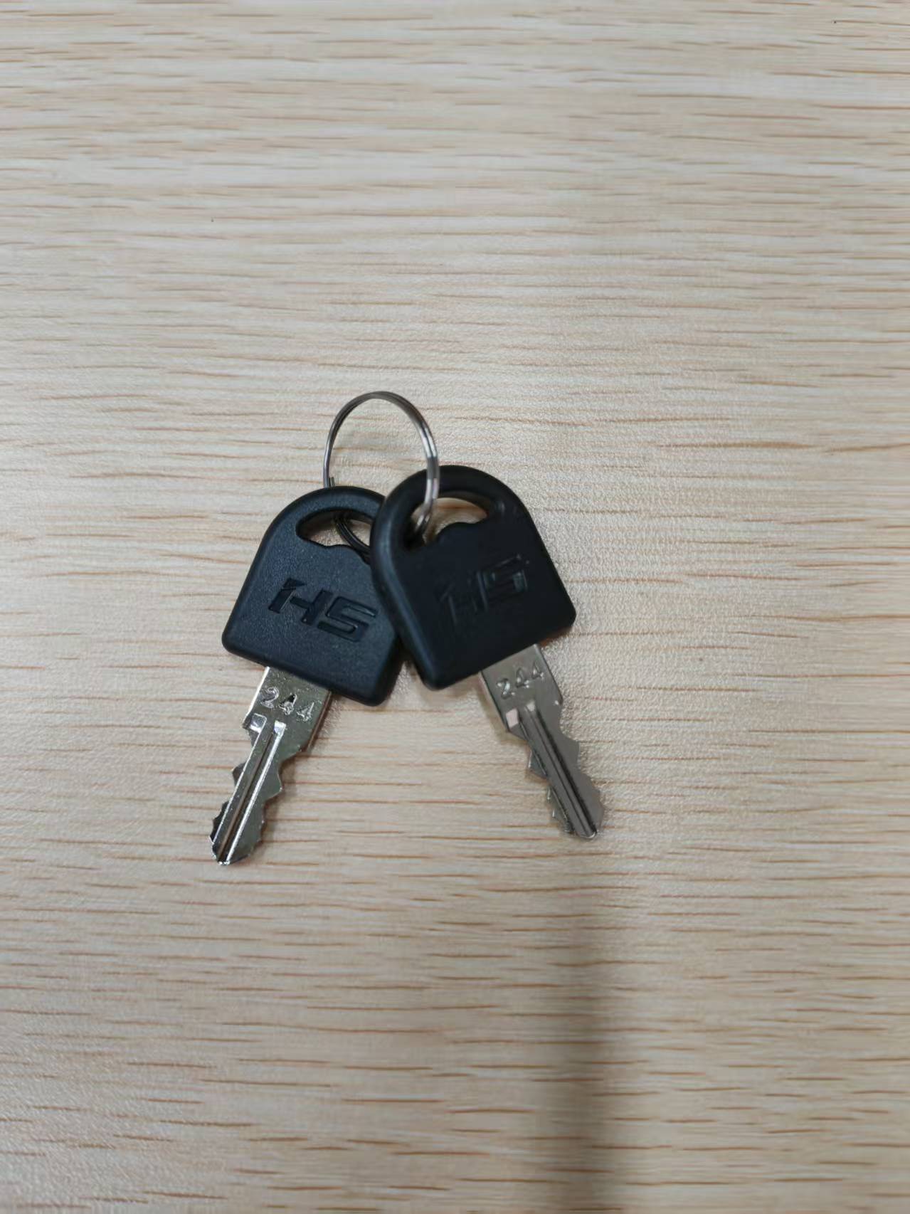 CUSTOM MADE #3 - Inner Door Key