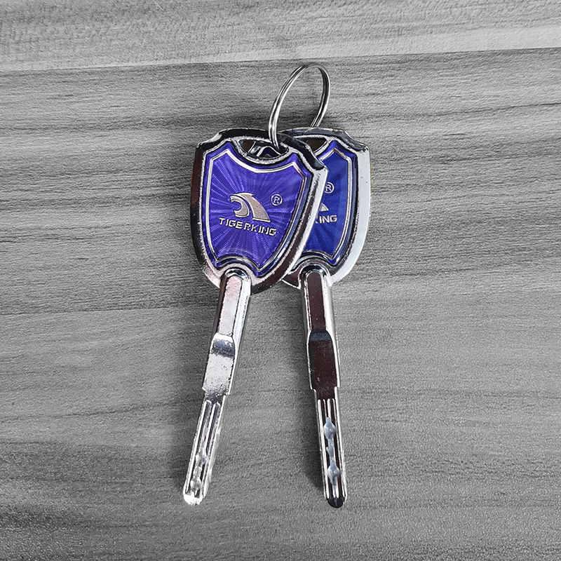 CUSTOM MADE #1 - MASTER KEY